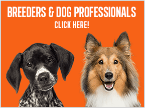 Breeders and Dog Professionals Click here!